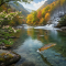 Seasonal Trout Fishing Guide: When and Where to Fish Throughout the Year